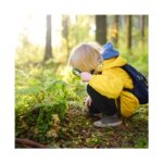 Комплект детектив в природата, Hape – снимка 5 от 5