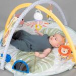 Активна гимнастика Савана, Taf Toys