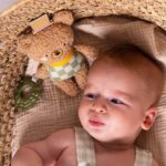 Бебешка мека дрънкалка Мече Брендън, Taf Toys - Image 3
