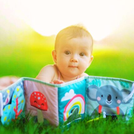 Бебешка мека книжка Коала, Taf Toys