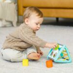 Бебешки сортер с активности, Infantino