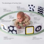 Бебешки тренажор за корем, Taf Toys - Image 6