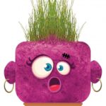 Чичко Тревичко Изненаданата Сандра, Hape