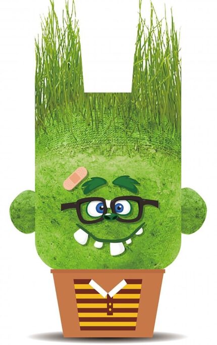 Чичко Тревичко Веселият Чарлз, Hape