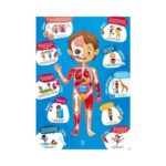 Дървен пъзел Човешко тяло 60 части, Hape - Image 3