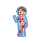 Дървен пъзел Човешко тяло 60 части, Hape - Image 4