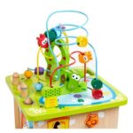 Детски център Сафари приключение, Hape - Image 4