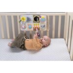 Бизиборд с музика и светлина Монтесори, Taf Toys