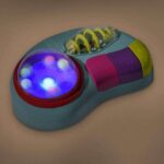 Светлинна музикална станция Whirly Pop, Battat - Image 4