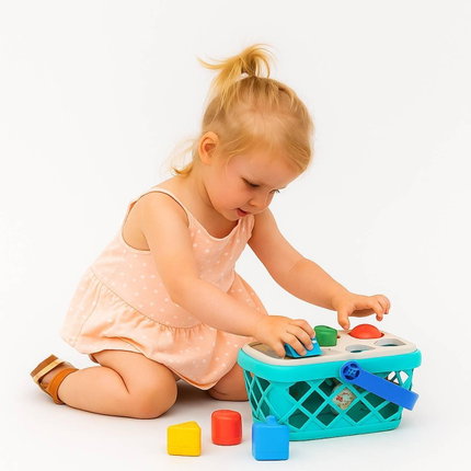 Интерактивна Пазарска Кошница, Baby Einstein