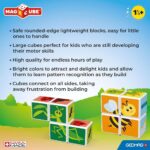 Магнитен конструктор Magicube насекоми и карти 11 части, Geomag - Image 6