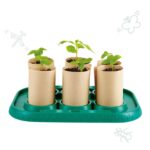 Малка оранжерия, Hape - Image 2