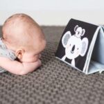 Мека сензорна книжка Коала, Taf Toys - Image 5