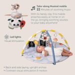 Музикална активна гимнастика с LED светлини, Taf Toys - Image 7