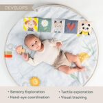 Музикална активна гимнастика с LED светлини, Taf Toys - Image 5