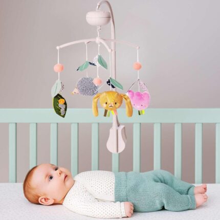 Музикална въртележка зайчето Джени, Taf Toys