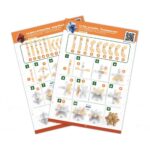 Brain Buster за напреднали 3 броя, Buki France - Image 3