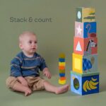 Сортер за подреждане Савана, Taf Toys - Image 11