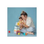 Сортер за подреждане Северен полюс, Taf Toys - Image 4