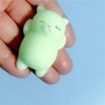 Скуиши Коте - Image 7