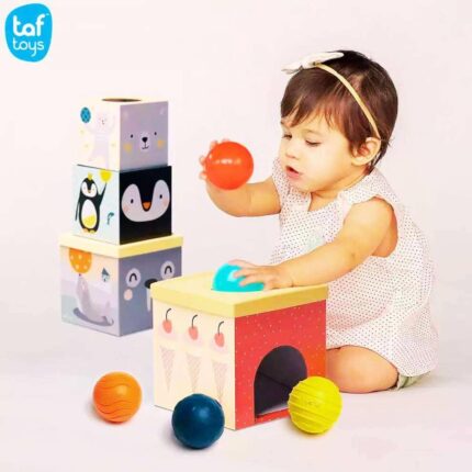 Сортер за подреждане Северен полюс, Taf Toys