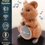 Високоговорител Rainy Days приятел Квока Bluetooth, Lisciani