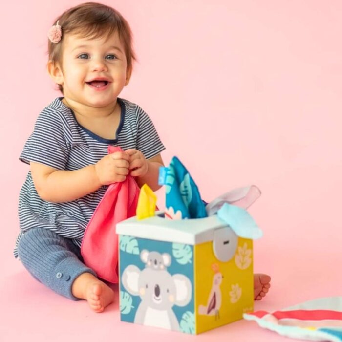 Забавна кутия с кърпи коала 9 броя, Taf Toys Забавна кутия с кърпи коала 9 броя, Taf Toys