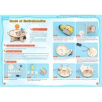 Стем Експеримент Слънчева Система - Image 7