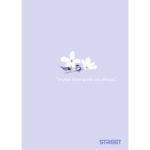 Папка с ластик Street A4, PP, асортимент