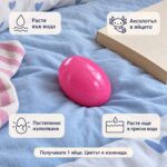 Розово растящо яйце на синя завивка, с надписи „Расте във вода“, „Аксолотъл в яйцето“, „Постепенно излюпване“ и „Расте още в прясна вода“; продава се 1 яйце в един от двата цвята.